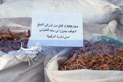 الوادي: أمن الرقيبة يحجز 13 قنطـــار من أوراق التبغ بدون أي سند قانوني