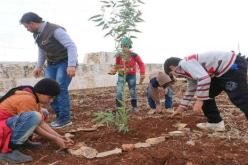 حملة تشجير وطنية كبرى.. قريبا