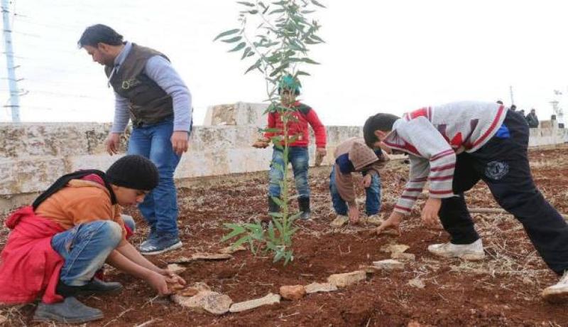 حملة تشجير وطنية كبرى.. قريبا