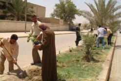 الانطلاق بوهران في غرس 48 ألف شجيرة لتثمين المناطق الرطبة