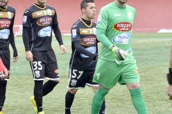 لڤرع يوافق على التّمديد وعرض حمـّار يسيل لعاب خذايرية