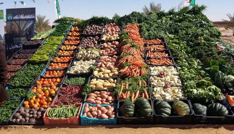 تحقيق نحو 750 ألف قنطار من الخضر والفواكه بورقلة 