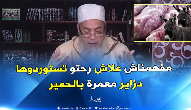 الشيخ شمس الدين”هذا هو حكم أكل لحوم الحمير والبغال “