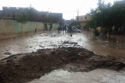 الداخلية تنصب خلية أزمة لمعاينة أضرار السيول في تبسة 