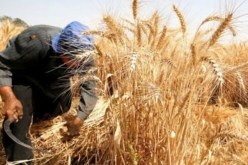 من يقرضني قرضا حسنا.. يُبارك له الله في هذه الأيام المباركة