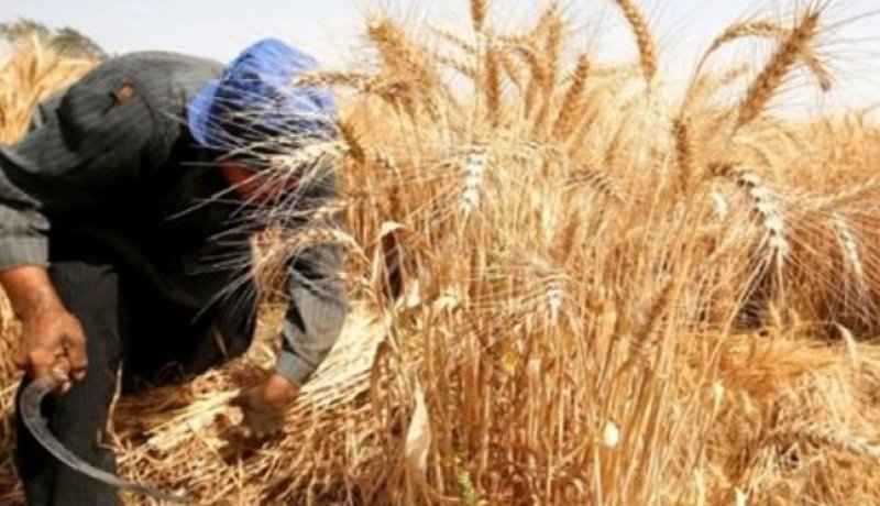 من يقرضني قرضا حسنا.. يُبارك له الله في هذه الأيام المباركة