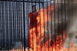 داعش يعاقب رجل دين اعترض على حرق الطيار الاردني