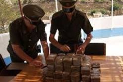 مصالح الدرك بالعلمة تفكك عصابة وتحجز 1.5 كلغ من المخدرات