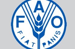 الجزائر ومنظمة الأمم المتحدة للأغذية توقعان غدا الخميس بالجزائر خطاب النوايا