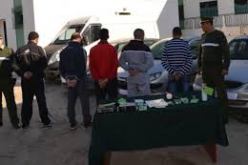 تفكيك شبكة دولية لتهريب السيارات في البويرة