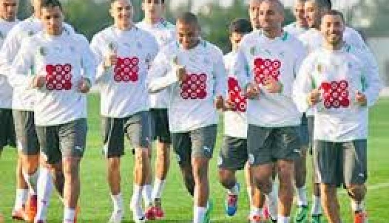 المدرب الجديد للخضر في صدارة جدول أعمال المكتب الفيديرالي يوم 19 يوليو الجاري