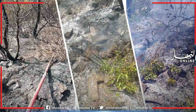 الشلف: إخماد حريق بغابة بيسة في الزبوجة