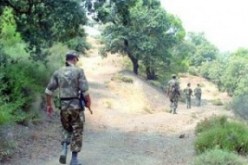 توقيف إرهابي نيجيري وإسترجاع سلاح كلاشينكوف بتبسة