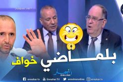 بالفيديو.. بلماضي يُشعل حرب التصريحات بين الجزائر ومصر !!