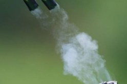 إصابة أحد أعضاء فرقة فلكلورية بعيار ناري في زفاف بوهران