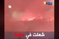بالفيديو.. أجواء خيالية بملعب 19 ماي بعنابة !