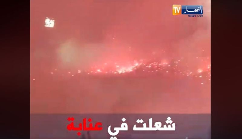 بالفيديو.. أجواء خيالية بملعب 19 ماي بعنابة !