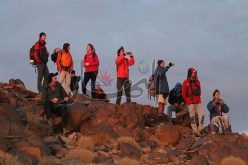 اجتماع وزاري مشترك يضع خطة تأمين رحلات السياح الأجانب بالجزائر