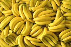 أئمة يدعون إلى مقاطعة شراء الموز بعد ارتفاع سعره