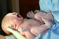 بوضياف يعلن استفادة أكثر من 9 آلاف ممرض وقابلة من تكوين خلال دفعة 2015