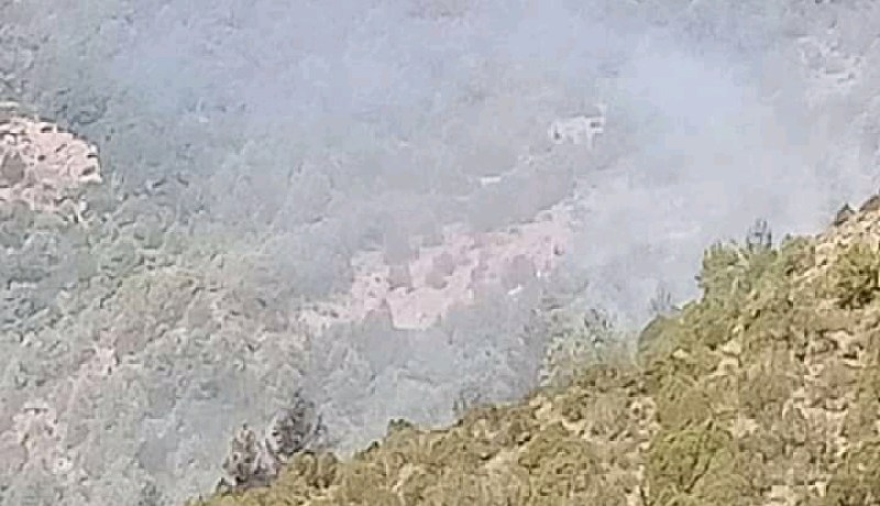 الشلف: إندلاع حريقين مهولين بغابتي بوحجمام وقريرقرة