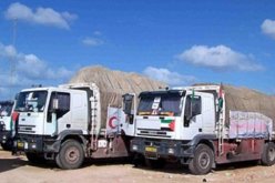 السماح  بدخول 370 شاحنة محملة بالمساعدات لغزة