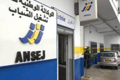 إدماج 100 شابة حاملة لمشروع مهم في إطار إنشاء مؤسّسات صغيرة في الجزائر