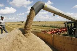 إنتاج 215 ألف قنطارا من الحبوب في موسم الحصاد لسنة 2013