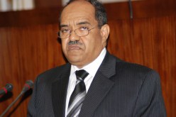 محمد لكصاسي: الجزائر لن تتحمل طويلا تراجع أسعار البترول