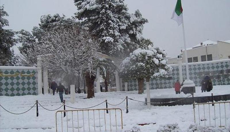 الأرصاد الجوية تصدر نشرية خاصة حول تساقط ثلوج بالجزائر يوم الثلاثاء