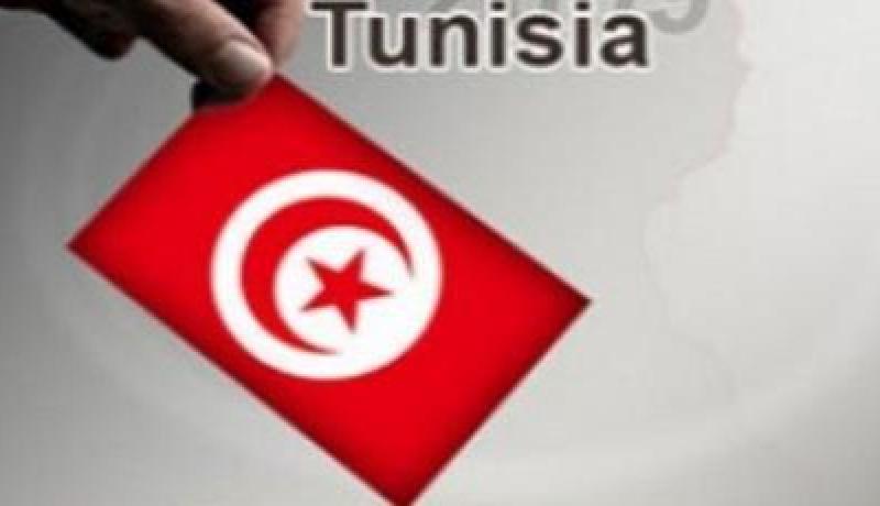 بعثة الإتحاد الأوروبي تشيد بأول انتخابات رئاسية تعددية و شفافة في تونس