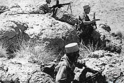 بوتفليقة: هجمات 20 أوت 1955 ساهمت في إيجاد الحلول السياسية بين الحكومة الفرنسية و المغربية