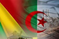 دولة مالي تشيد بجهود الجزائر في تحقيق المصالحة المالية