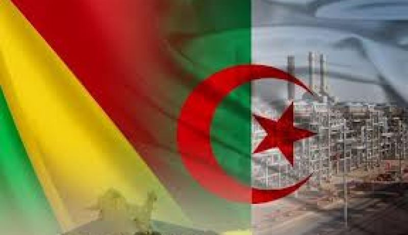 دولة مالي تشيد بجهود الجزائر في تحقيق المصالحة المالية