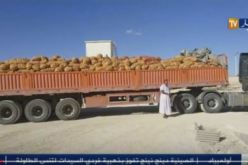 1200 طن من البطاطا عالقة في الحدود بسبب رفض الجمارك التونسية عبورها