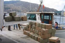 بعد حجز 38 قنطارا.. إغراق الجزائر بالمخدرات أصبح استراتيجية دولة في المغرب