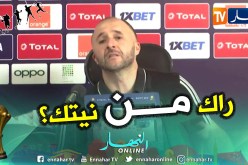بالفيديو.. صحفي نيجيري يستفز “بلماضي” والأخير يرد بقوة