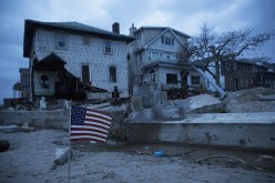 جرذان نيويورك ماتت غرقا أم نجت سباحة