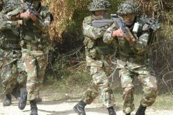 القضاء على 8 إرهابيين بالمدية واسترجاع 8 أسلحة كلاشنكوف
