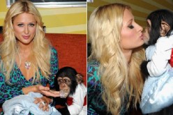 منظمة الأمم المتحدة تصف باريس هيلتون ولاعب ريال مدريد جيمس رودريجز بالحمقى