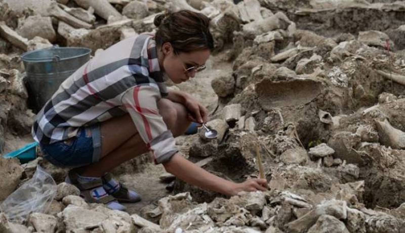  اكتشاف حفرية لماموت عمرها 8 ملايين عام في تركيا