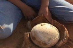 إكتشاف بيضة دجاجة عمرها 2000 عام في مقبرة أثرية صينية