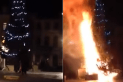 بالفيديو مراهقون يشعلون النيران في شجرة عيد الميلاد في بلجيكا