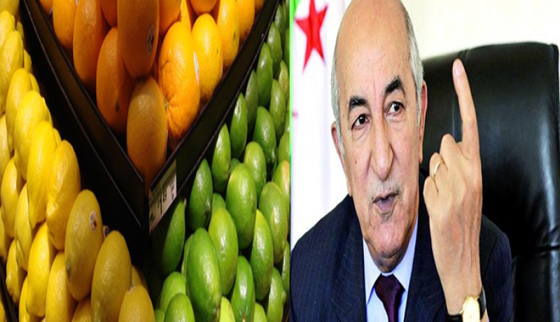 تبون.. يمنع استيراد الحمضيات خلال موسمها