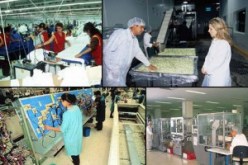 بدوي يأمر بعدم رفض أي طلب تسجيل يتقدم به الشباب الى مؤسسات التكوين المهني عبر الوطن