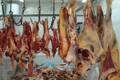 حجز 19 قنطارا من اللحوم داخل مذبح سري في مزرعة بالوادي