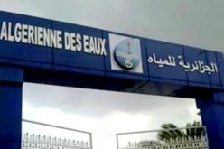الشلف: الجزائرية للمياه ترفع كمية مياه التحلية الموجهة لسكان يارمول بمجاجة