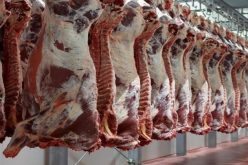 حجز 3 قناطير من اللحوم الفاسدة وتحويل أصحابها للعدالة بمعسكر