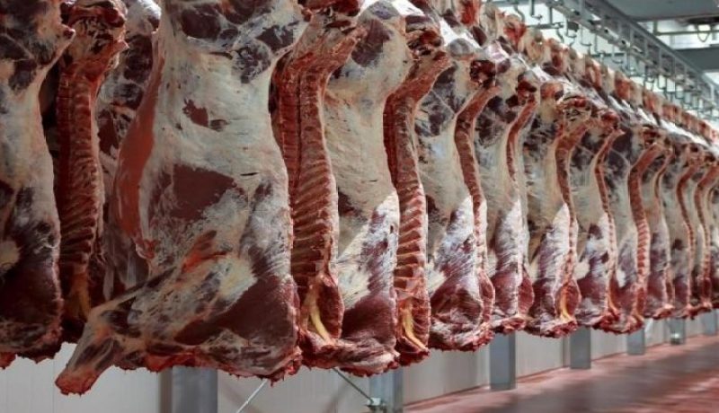 حجز 3 قناطير من اللحوم الفاسدة وتحويل أصحابها للعدالة بمعسكر