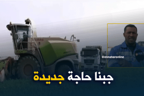 أدرار/ الفلاحون المنتجون للذرة الصفراء ينتظرون كثيرا من الدعم لمواصلة نشاطهم